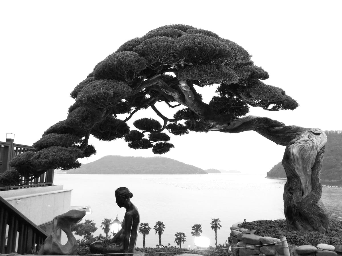 Bonsai & The Art of Growing a Firm